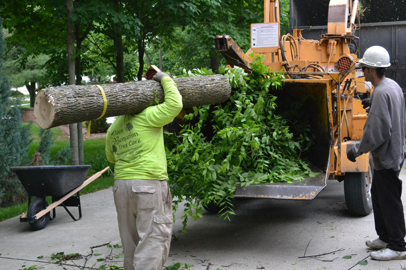 Right of Way Tree Service Frankenmuth, Bay City, Saginaw