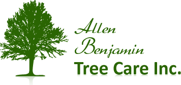 AB Tree Care